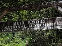 Muir Woods National Mounument